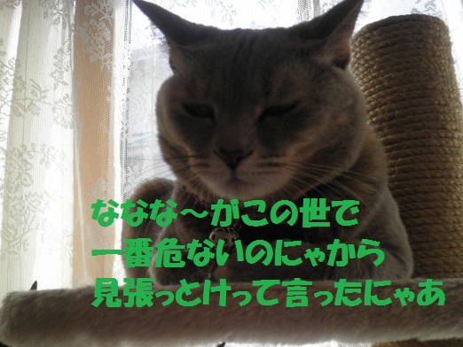20130317-10.jpg
