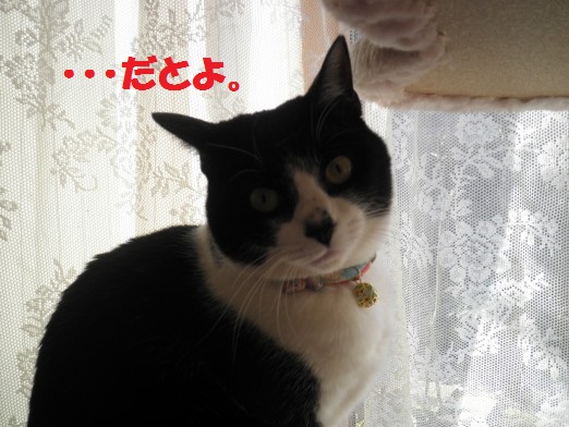 20130317-11.jpg
