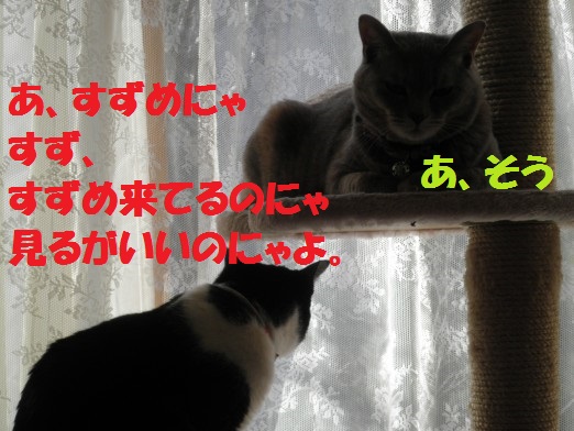 20130317-2.jpg