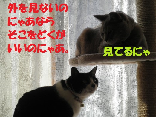 20130317-3.jpg