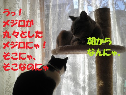 20130317-4.jpg