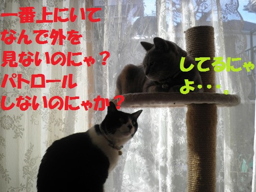 20130317-5.jpg