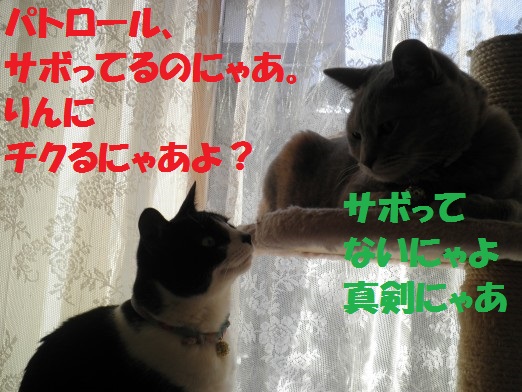 20130317-8.jpg