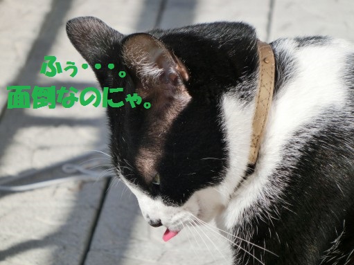 20130318-12.jpg
