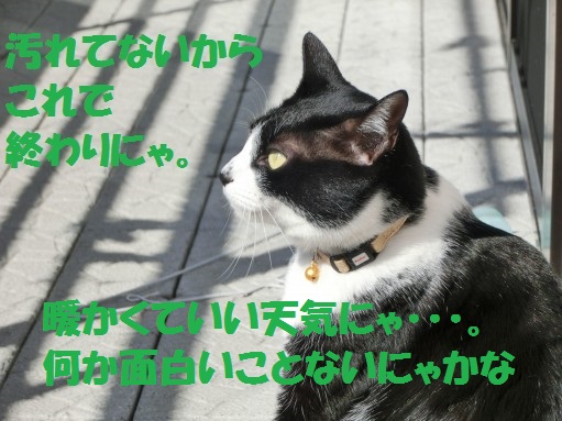 20130318-13.jpg