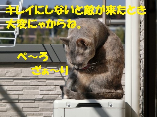 20130318-2.jpg