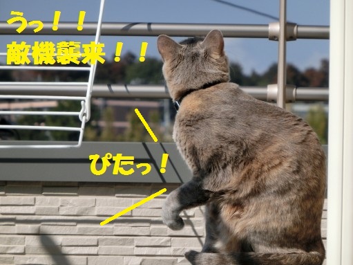 20130318-3.jpg