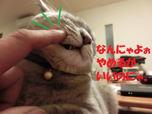20130319-1.jpg
