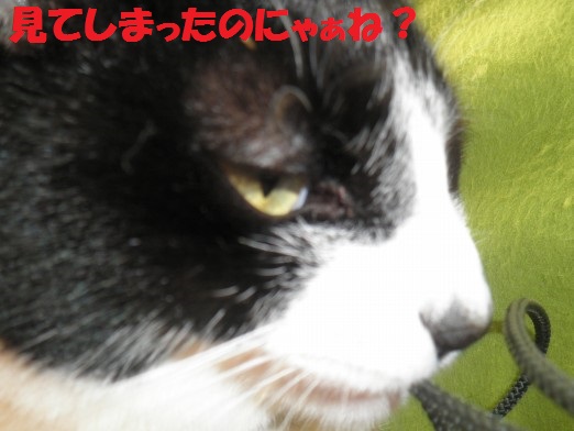 20130319-10.jpg