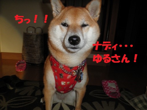 20130319-12.jpg