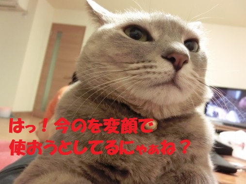 20130319-2.jpg