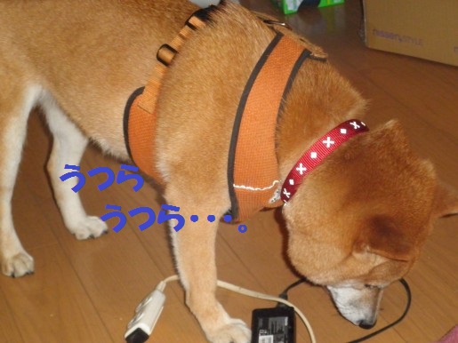 20130319-3.jpg