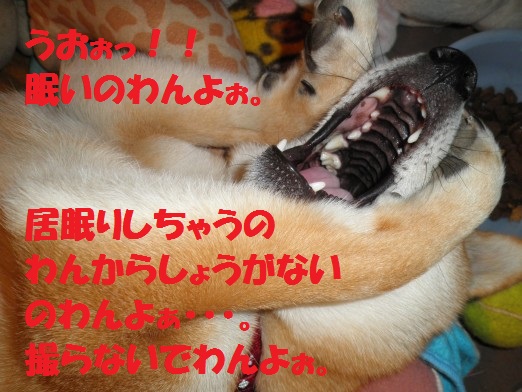 20130319-4.jpg