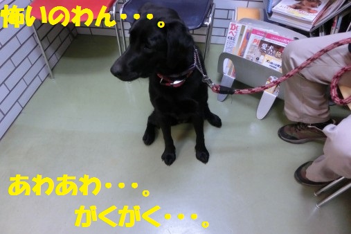 20130319-5.jpg