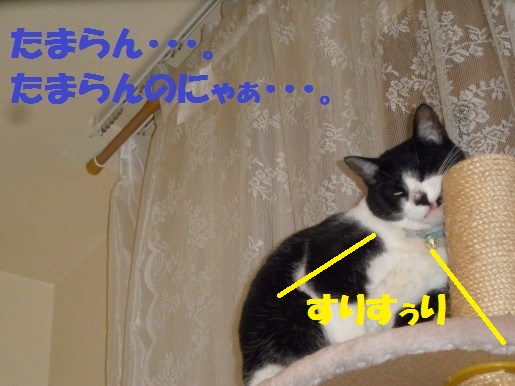 20130319-6.jpg