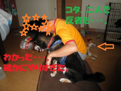 20130319-7.jpg