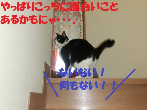 20130320-10.jpg