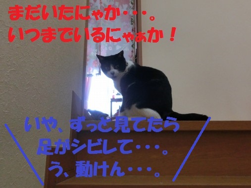 20130320-11.jpg