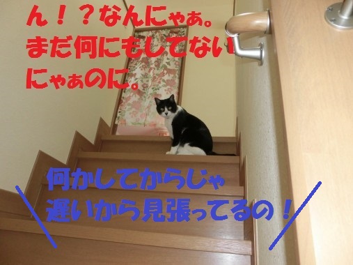 20130320-2.jpg