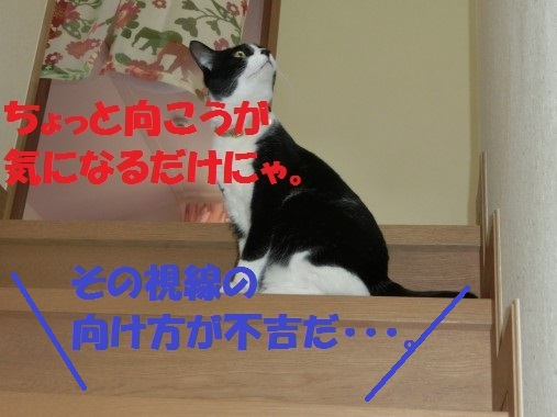 20130320-4.jpg