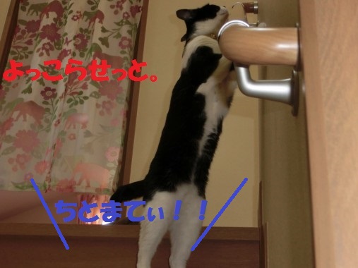 20130320-6.jpg