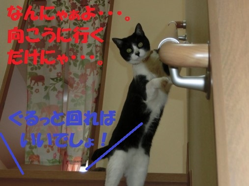 20130320-7.jpg