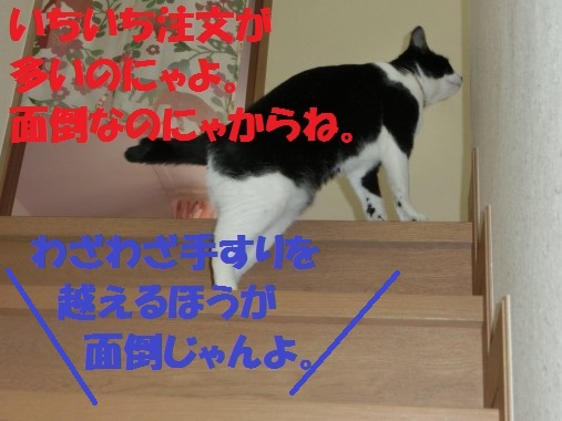 20130320-8.jpg