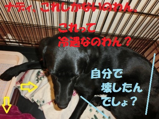 20130321-10.jpg