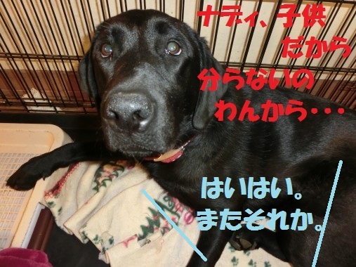 20130321-11.jpg
