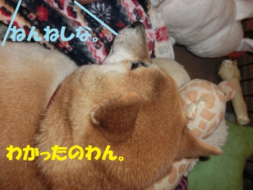 20130321-7.jpg