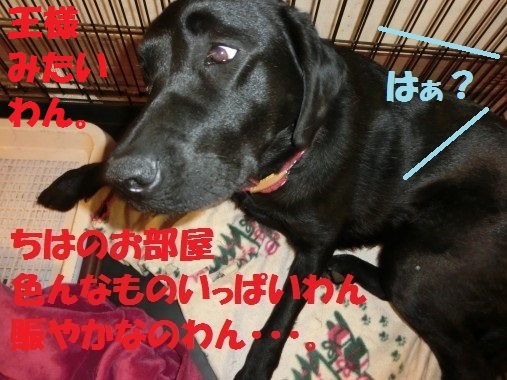 20130321-9.jpg
