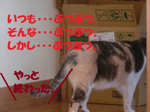 20130322-10.jpg