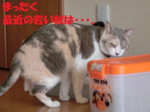 20130322-4.jpg