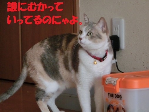 20130322-5.jpg