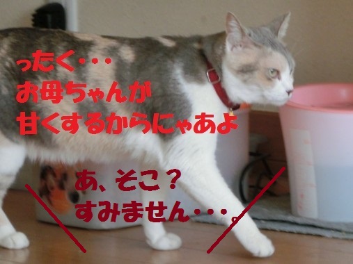 20130322-7.jpg