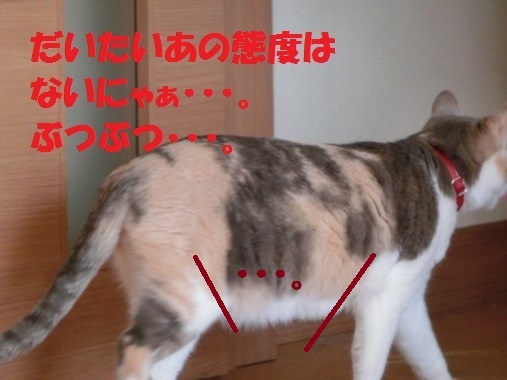 20130322-9.jpg