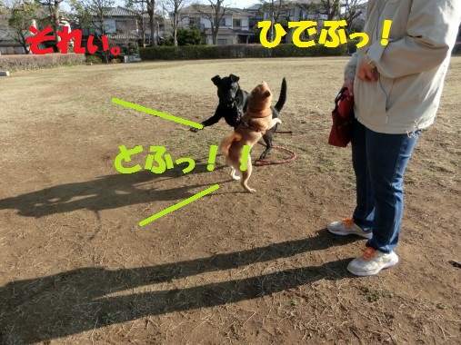 20130323-004.jpg