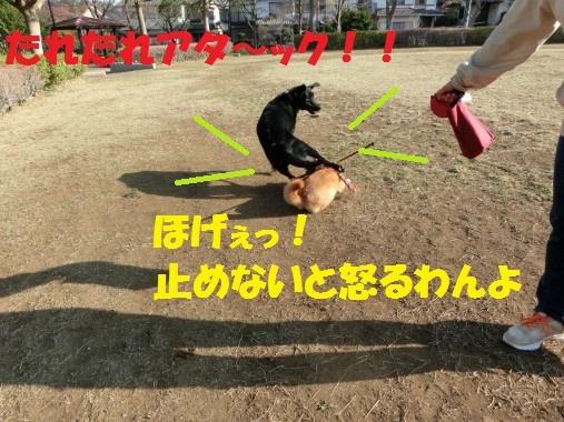 20130323-005.jpg