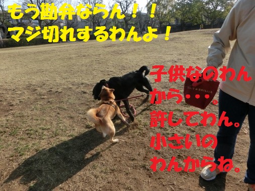 20130323-006.jpg