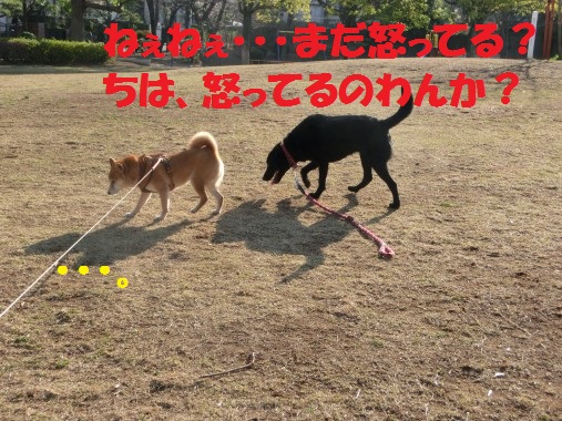 20130323-007.jpg