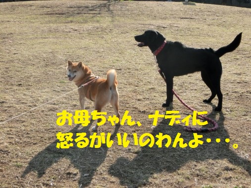 20130323-008.jpg