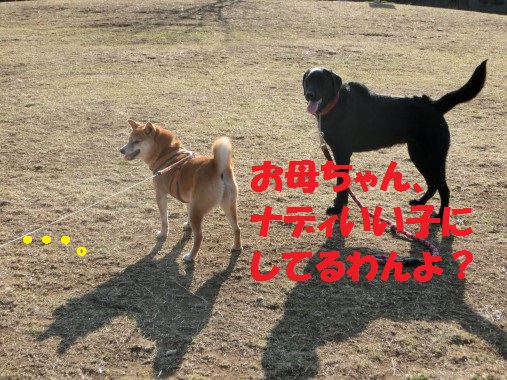 20130323-009.jpg