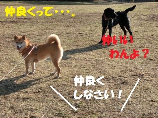 20130323-010.jpg