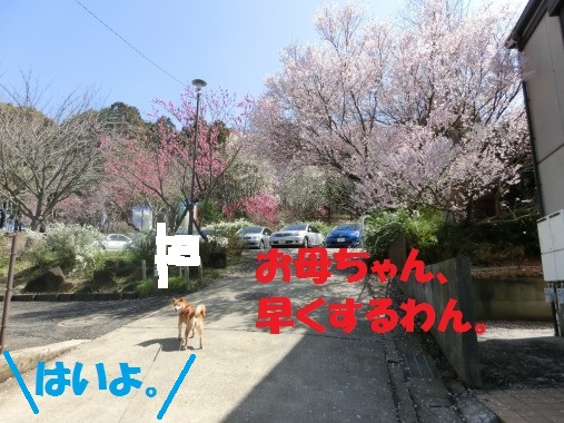 20130325-1.jpg