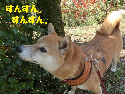 20130325-12.jpg
