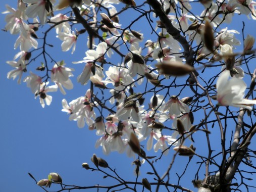 20130325-7.jpg