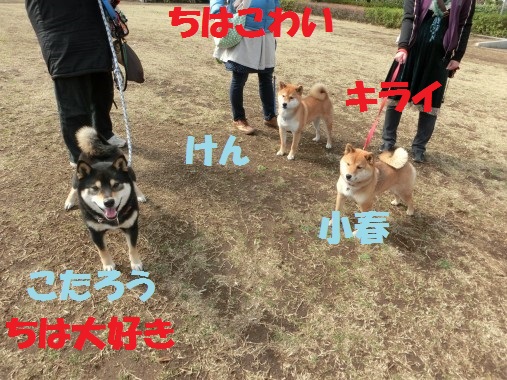 20130327-1.jpg