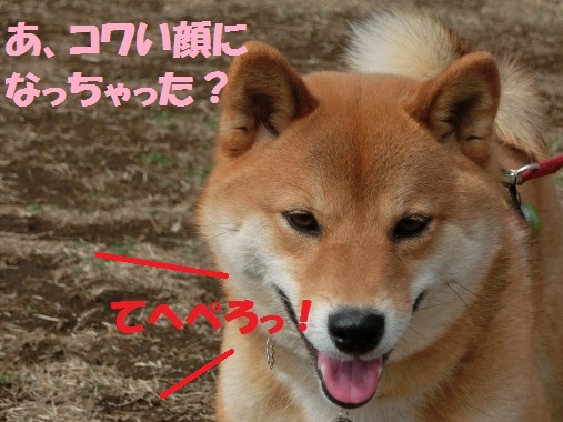 20130327-11.jpg