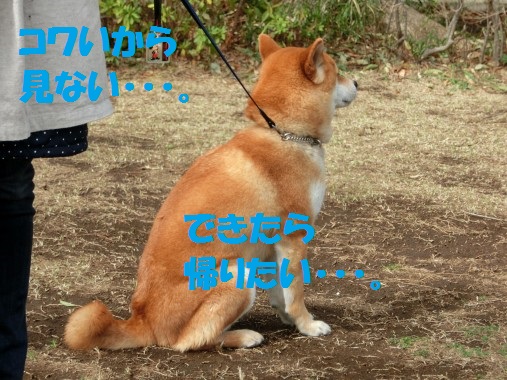20130327-12.jpg
