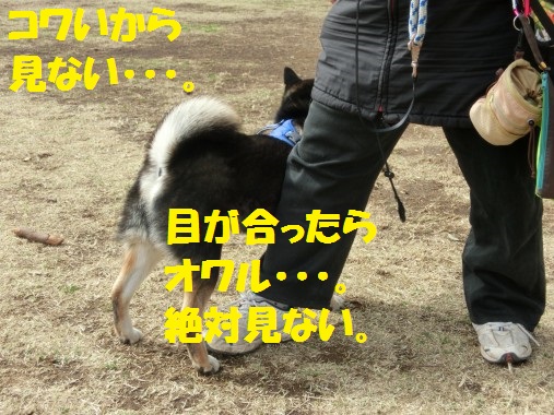 20130327-13.jpg
